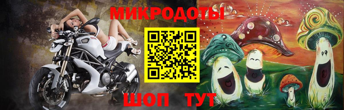 Звенигород  Псилоцибиновые грибы MAGIC MUSHROOMS  Вход с VPN 